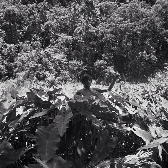 Dans les feuilles de songe, Rivire du Rduit-1973jpg.jpg